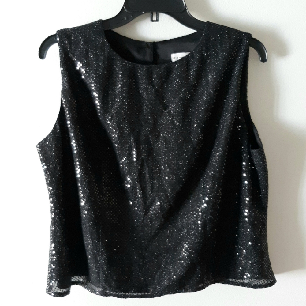 Bianca Nygard Sequin Blouse